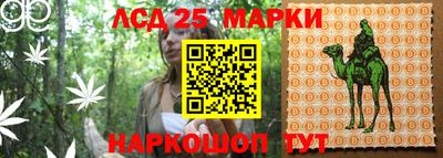 ALPHA PVP Обнинск