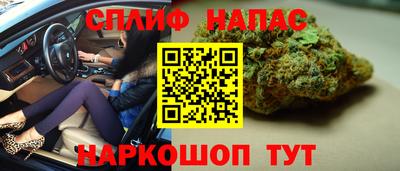 мдпв Партизанск