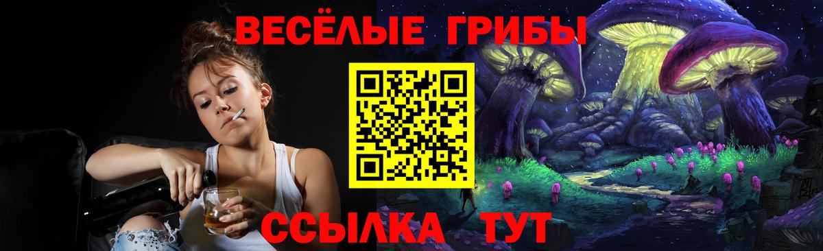 Томск  Галлюциногенные грибы прущие грибы  Вход с VPN 